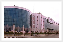 Amoun Pharmaceutical Factory